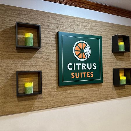 Citrus Suites Redlands Loma Linda Hotel Bagian luar foto